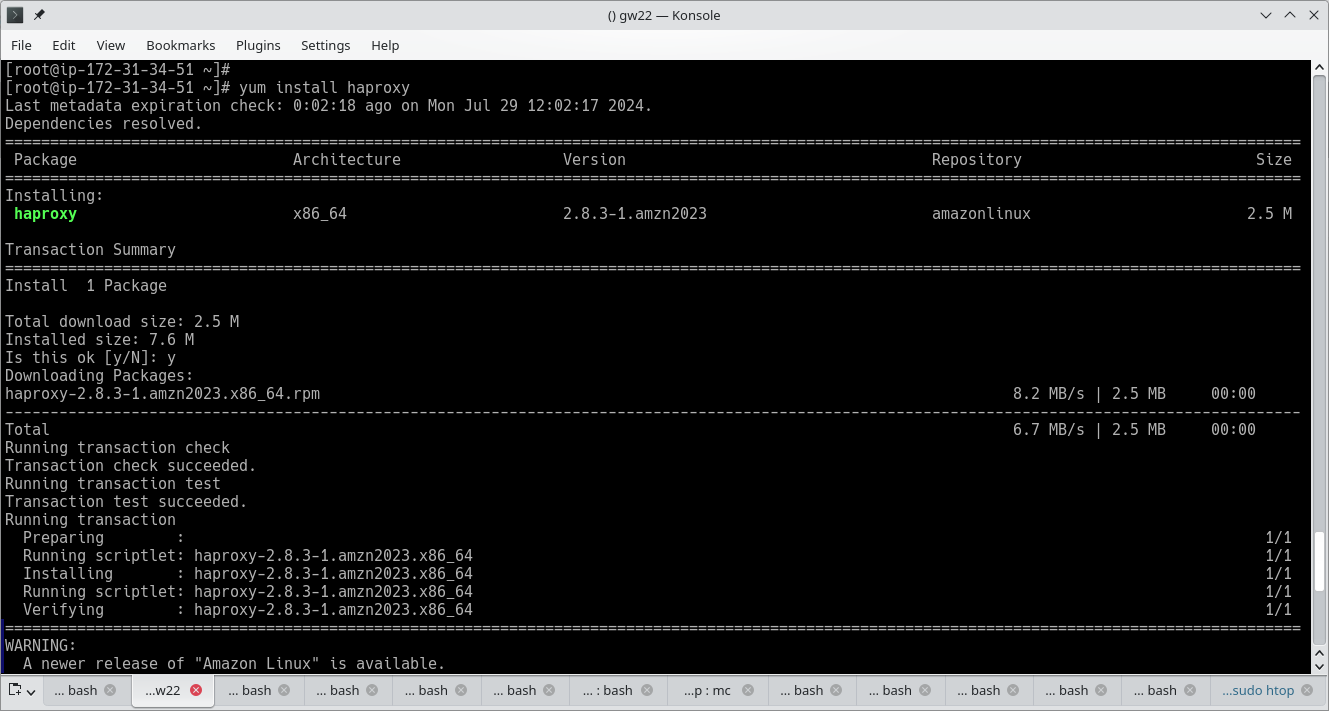 Install HAProxy